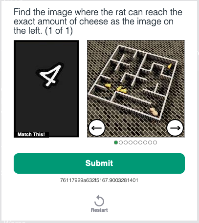 Inaccessible captcha example
