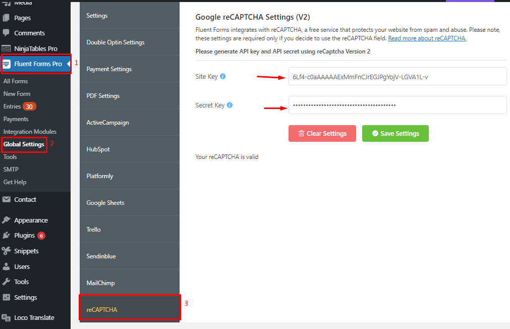 Fluent Forms reCaptcha