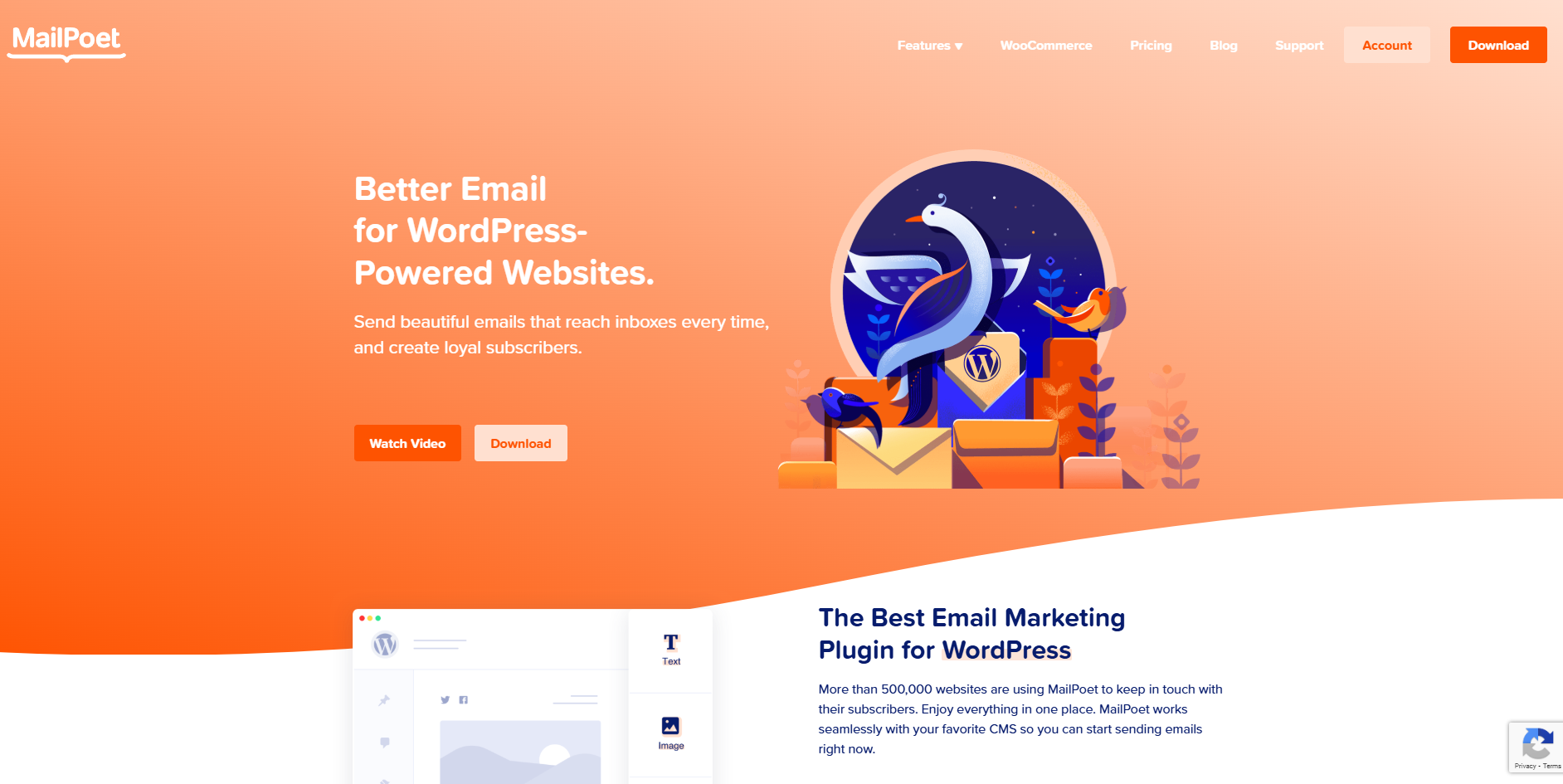 MailPoet 