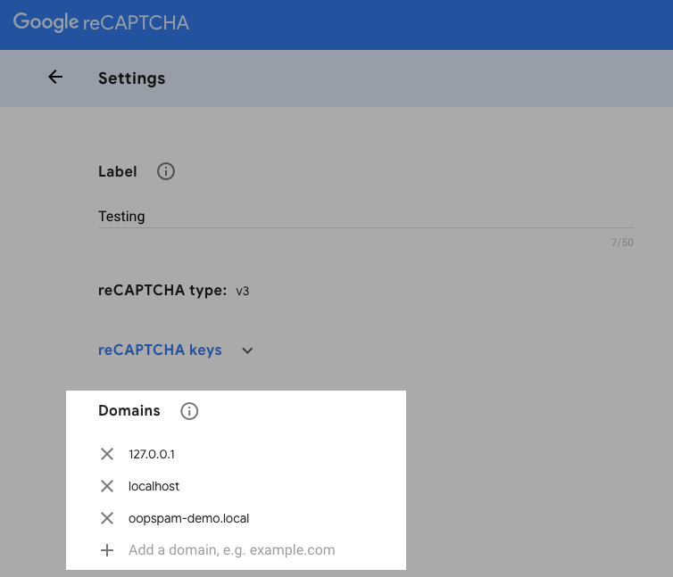 reCAPTCHA Domains