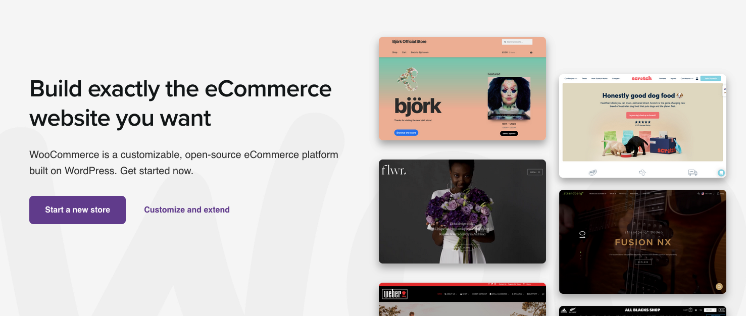 WooCommerce website screenshot